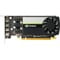Фото - Відеокарта Quadro T1000 4GB GDDR6 PNY (VCNT1000-SB) | click.ua