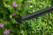 Фото - Кущоріз Bosch EasyHedgeCut 45 (0.600.847.A05) | click.ua