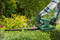 Фото - Кущоріз Bosch EasyHedgeCut 45 (0.600.847.A05) | click.ua