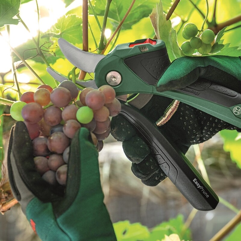 Секатор аккумуляторный Bosch EasyPrune (0.600.8B2.102)