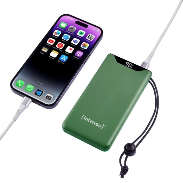 Универсальная мобильная батарея Intenso F10000 10000mAh, 20W, Green (7332037)