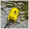 Фото - Рюкзак Armorstandart Waterproof Outdoor Gear 20L Yellow (ARM59239) | click.ua