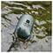 Фото - Рюкзак Armorstandart Waterproof Outdoor Gear 20L Grey (ARM59240) | click.ua