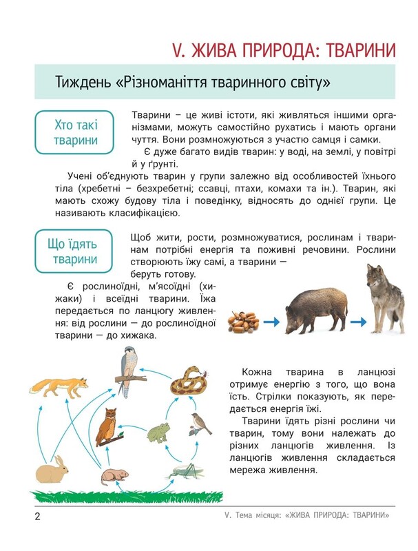 НУШ Зошит дослідника. Частина 2. 3 клас