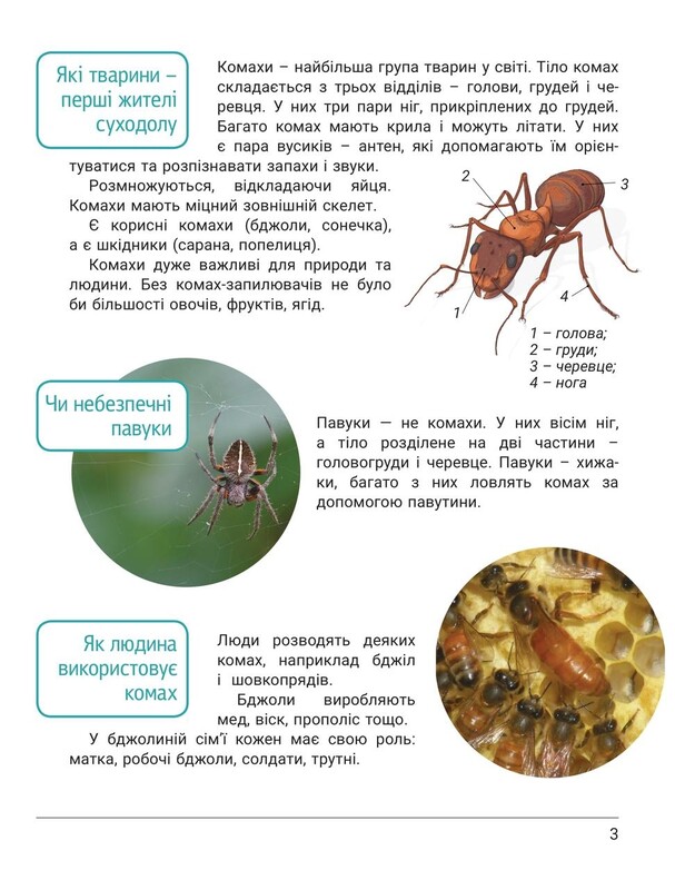 НУШ Зошит дослідника. Частина 2. 3 клас