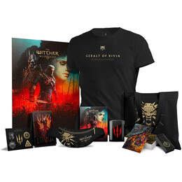 Коллекционный набор GoodLoot The Witcher 3: Wild Hunt (10th Anniversary Edition)