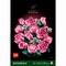 Фото - Конструктор LEGO Botanicals Букет рожевих троянд (10374) | click.ua