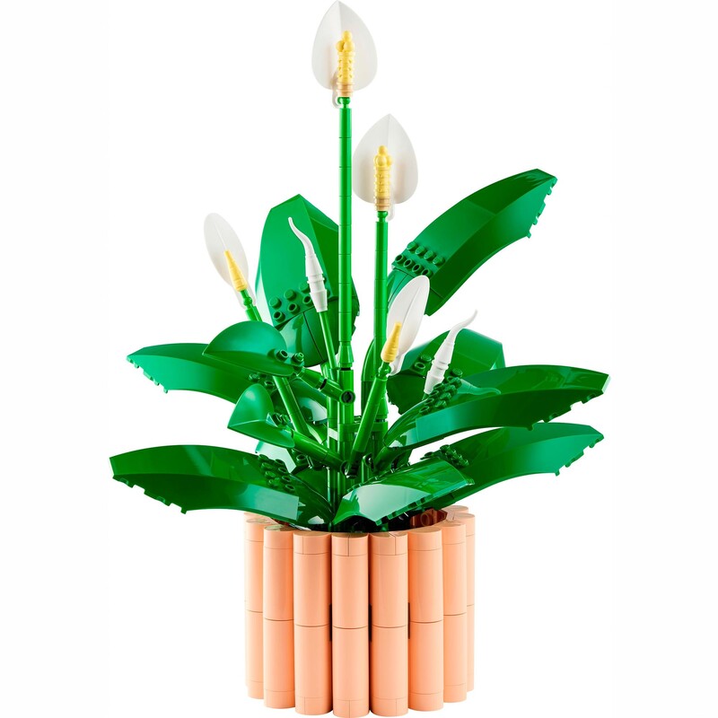 Конструктор LEGO Botanicals Спатифілум (11504)