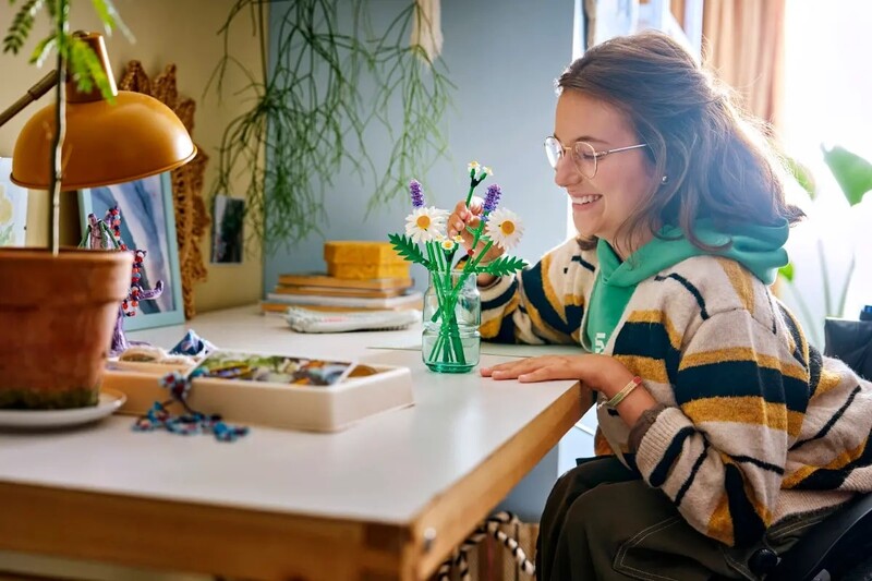 Конструктор LEGO Botanicals Ромашки (11508)