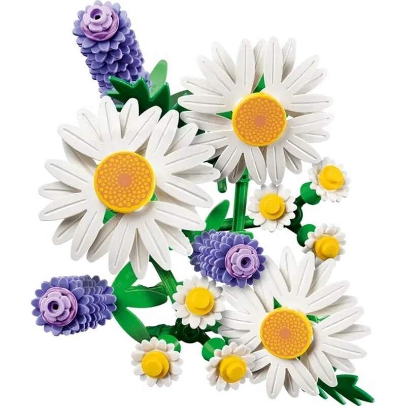 Конструктор LEGO Botanicals Ромашки (11508)