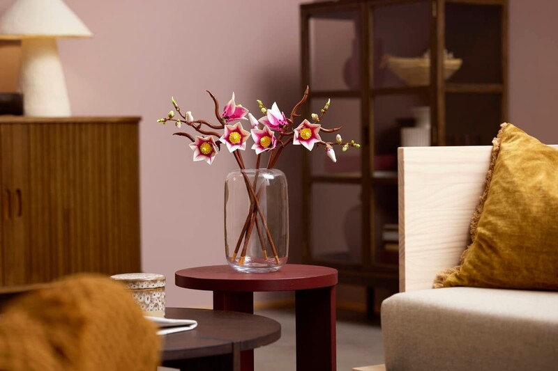 Конструктор LEGO Botanicals Гілки магнолії (11510)