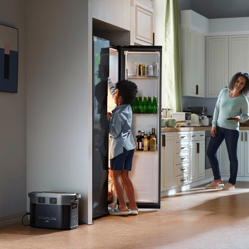 Зарядная станция EcoFlow Delta 2 Max (EFDELTA2Max-EU)