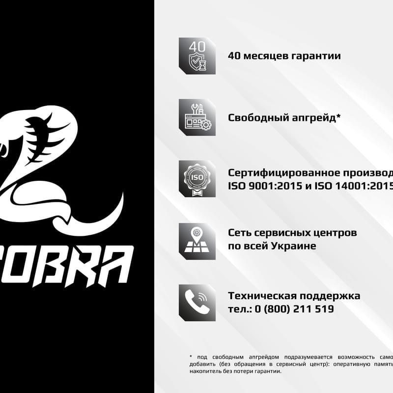 Персональный компьютер COBRA (I14F.16.S9.165.070)
