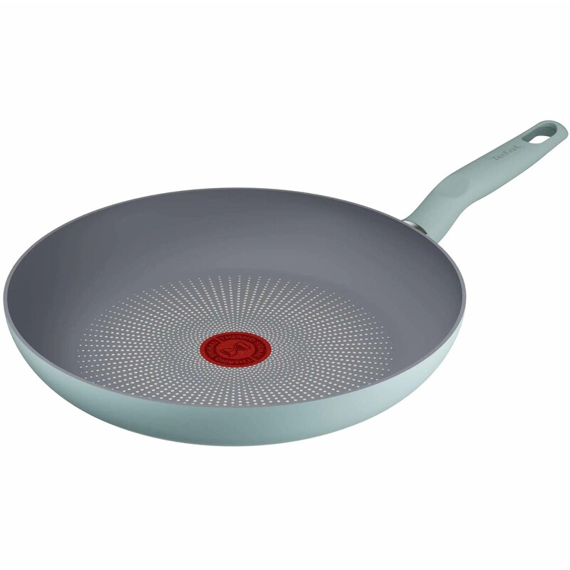 Сковорода Tefal Halo Eucalyptus 28 см (G0160602)