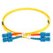 Фото - Оптичний патч-корд Digitus SC/UPC-SC/UPC, 9/125, SM, OS2, duplex, 1 м (DK-2922-01) | click.ua