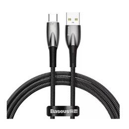 Кабель Baseus USB - USB Type-C (M/M), 100W, 1 м Black (CADH000401)