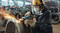 Фото - Шліфмашина Bosch Professional GWS 12-125 S (0.601.3A6.020) | click.ua
