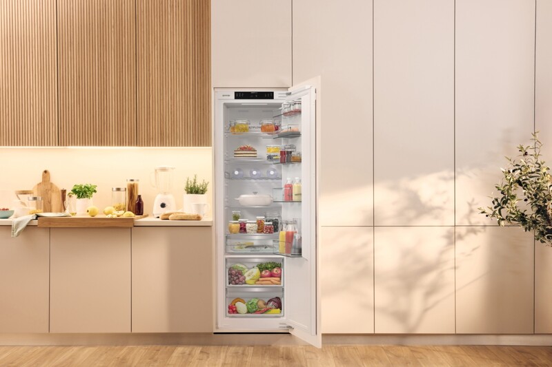 Встраиваемый холодильник Gorenje RI517E62WF