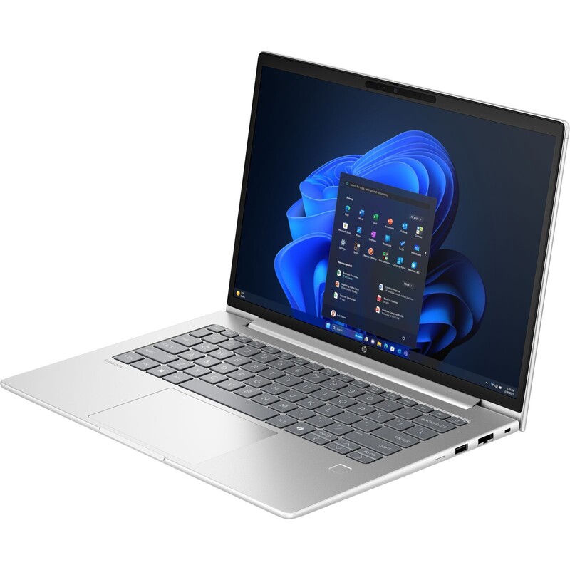 Ноутбук HP ProBook 4 G1a 14 (D4VG2ET) Silver