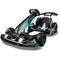 Фото - Електросамокат Ninebot GoKart PRO 2 (AA.04.04.01.0004) | click.ua