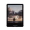 Фото - Чехол-накладка Urban Armor Gear Scout+ для Apple iPad 11 (2025) Gray (124495113131) | click.ua