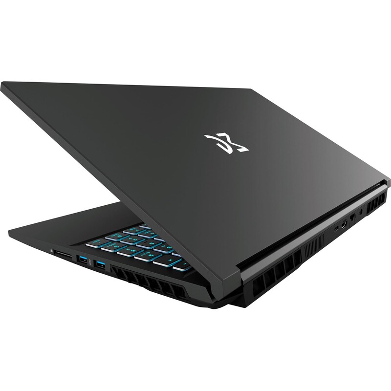 Ноутбук Dream Machines RG3050-15 (RG3050-15UA71) Black