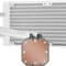 Фото - Система водяного охлаждения Corsair iCUE H100i Elite Capellix RGB White (CW-9060050-WW), Intel: 2066/2011/1200/1151/1150/1155/1156/1366, AMD: TRX4/TR4/AM4/AM3/AM2, 277х120х27 мм | click.ua