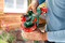 Фото - Фарбопульт Bosch PFS 3000-2 (0.603.207.100) | click.ua