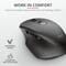 Фото - Миша бездротова Trust Ozaa Rechargeable WL Black (23812) | click.ua