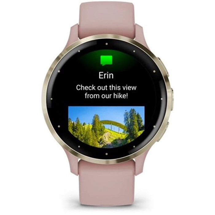 Смарт-часы Garmin Venu 3s Soft Gold Stainless Steel Bezel with Dust Rose Case and Silicone Band (010-02785-03)