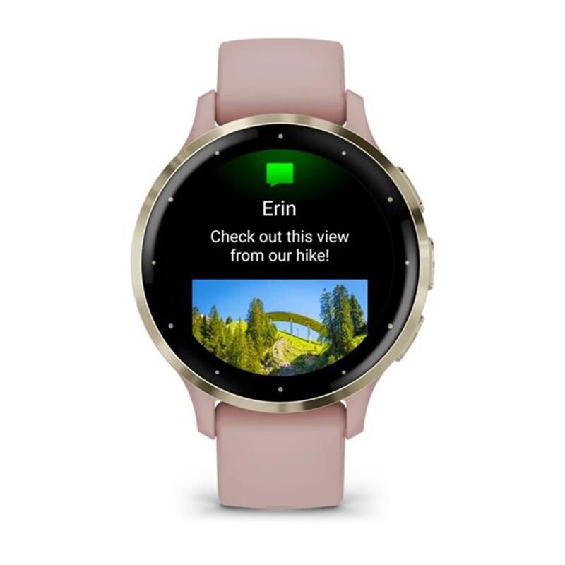 Смарт-часы Garmin Venu 3s Soft Gold Stainless Steel Bezel with Dust Rose Case and Silicone Band (010-02785-03)
