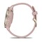 Фото - Смарт-часы Garmin Venu 3s Soft Gold Stainless Steel Bezel with Dust Rose Case and Silicone Band (010-02785-03) | click.ua
