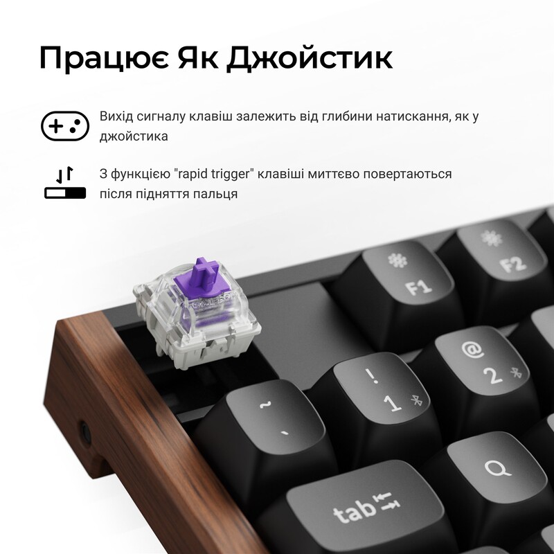 Клавіатура бездротова Keychron K10 HE Magnetic Switch Black RGB (K10H-F1-UA)