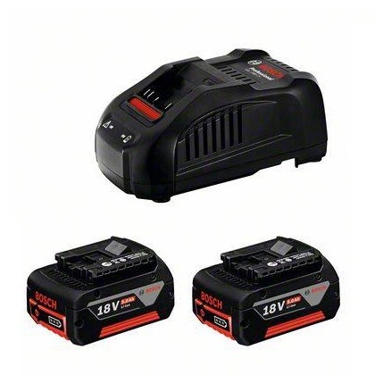 Набор аккумулятор и зарядное устройство Bosch Professional GAL 1880 CV 18В 2х5.0Аh (1.600.A00.B8J)