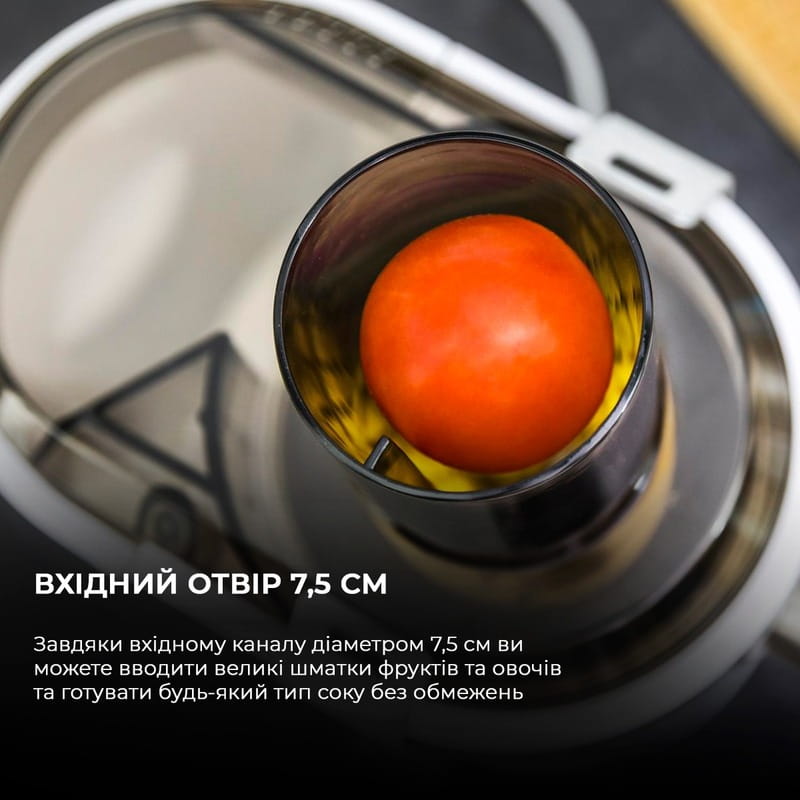 Соковыжималка Cecotec Strong Titanium 19000 XXL CCTC-04110 (8435484041102)