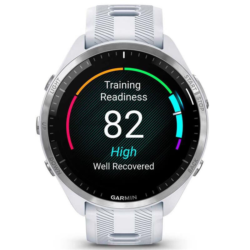 Смарт-часы Garmin Forerunner 965 Titanium Bezel with Whitestone Case and Whitestone/Powder Gray Silicone Band (010-02809-11)