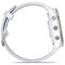 Фото - Смарт-часы Garmin Forerunner 965 Titanium Bezel with Whitestone Case and Whitestone/Powder Gray Silicone Band (010-02809-11) | click.ua