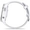 Фото - Смарт-часы Garmin Forerunner 965 Titanium Bezel with Whitestone Case and Whitestone/Powder Gray Silicone Band (010-02809-11) | click.ua