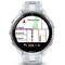 Фото - Смарт-часы Garmin Forerunner 965 Titanium Bezel with Whitestone Case and Whitestone/Powder Gray Silicone Band (010-02809-11) | click.ua