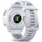 Фото - Смарт-часы Garmin Forerunner 965 Titanium Bezel with Whitestone Case and Whitestone/Powder Gray Silicone Band (010-02809-11) | click.ua