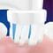 Фото - Насадка Braun Oral-B Stages Power EB10 FrozenII 2шт | click.ua