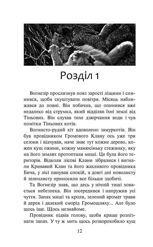 Коты-воители. Путь Огнезора. Специальное издание / Эрин Хантер