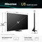 Фото - Телевізор Hisense 75U8Q | click.ua