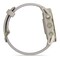 Фото - Смарт-часы Garmin Forerunner 970 French Gray Soft Gold Titanium with French Gray/Translucent Indigo Silicone with Soft Gold Buckle (010-02969-12) | click.ua