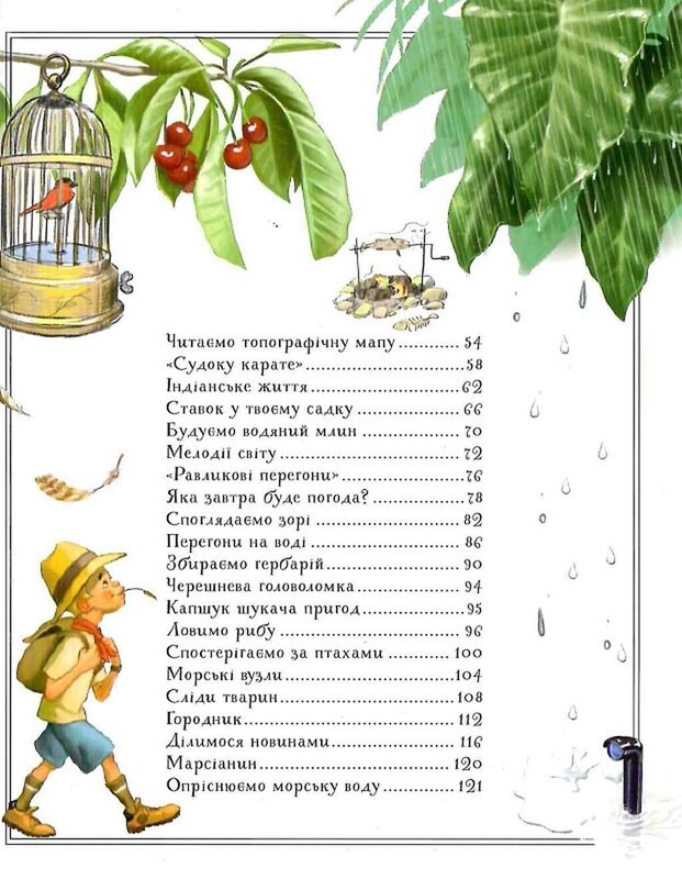 Boys" Book. Підручник відважного мандрівника / Мішель Лекре, Селія Ґалле, Клеманс Ру де Люз