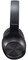 Фото - Bluetooth-гарнітура Panasonic RB-HX220BEE-K Black | click.ua