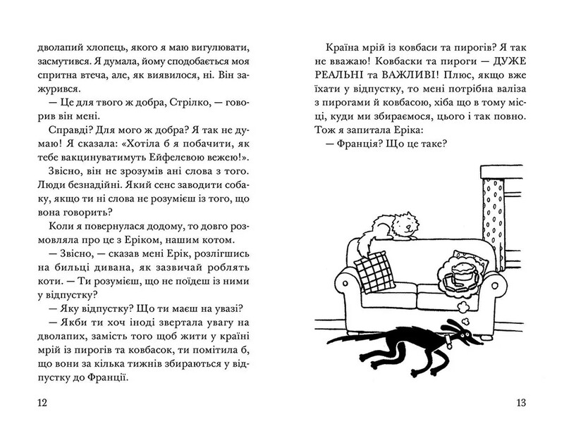 Ракета на четырех лапах. Книга 5: Угон! Горячее лето Ракеты на четырех лапах / Джереми Стронг