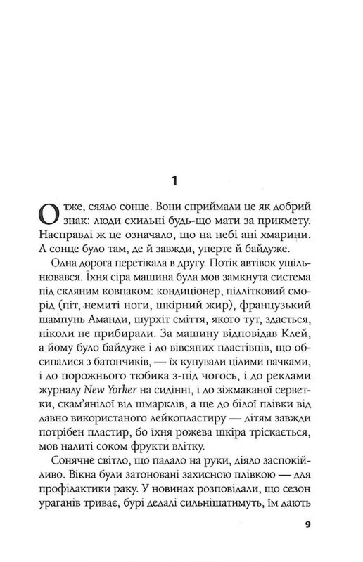 Иллюзия безопасности / Румаан Алам