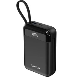 Универсальная мобильная батарея Canyon OnPower 204 20000mAh Black (CNS-CPB204B)