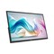 Фото - Монітор портативний MSI 15.6" Pro MP165 E6 IPS Black | click.ua
